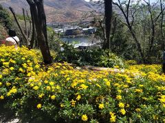 -南诏风情岛