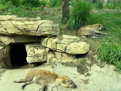 -北京野生动物园