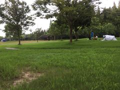 -崇明东平国家森林公园烧烤房车露营地