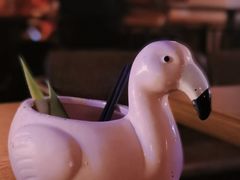 -阿卡贝拉音乐汇(印象城店)