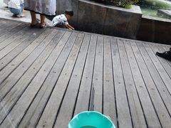 -岷山饭店-芝芝自助餐厅