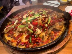 -老板恋上鱼(印象城店)