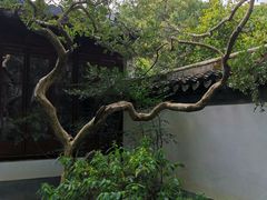 -秋霞圃