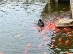 -鄱阳湖国家湿地公园