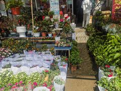 -金陵花卉交易市场