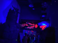 -芜湖新华联大白鲸海洋公园