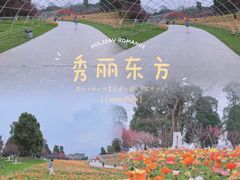 -秀丽东方