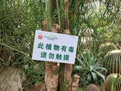 -西安世博园