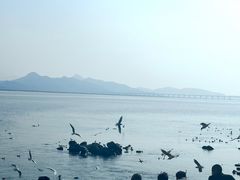-深圳湾公园(南山区)