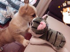 -美迦爱-牙专科·兔科·骨科诊疗中心(北苑店)