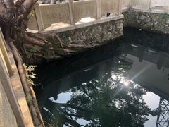 -墨池公园