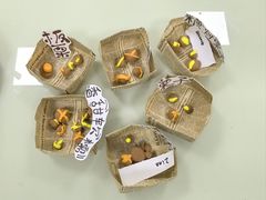-杭州龙井幼儿园