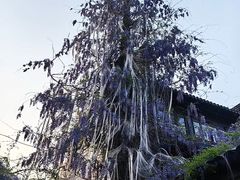 -老门东历史文化街区