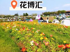 -花博汇(知音花月夜)