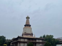 -张掖大佛寺景区