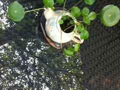 -厦门良筑精品酒店(厦门中山路店)