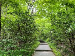 -句容茅山景区
