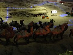 -西安汉城湖景区