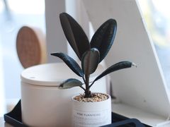 -倦勤咖啡(中山南路店)