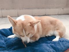 -百联又一城停车场