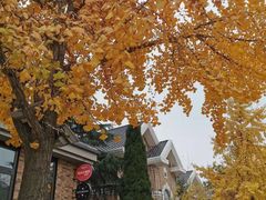 -天正河鲀·河豚亭(大连店)