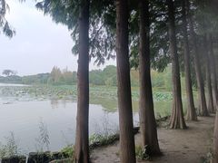 -云龙湖旅游景区