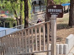-青龙湖公园