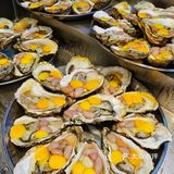 广州家庭探店｜别说你还没去过 补到爆灯