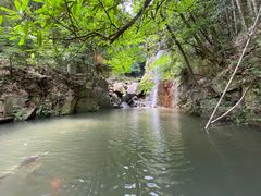 -莫干山风景区