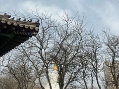-护国法轮寺