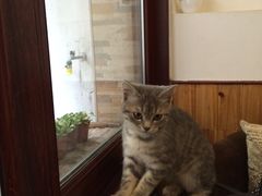 -隅cafe(傅厚岗店)