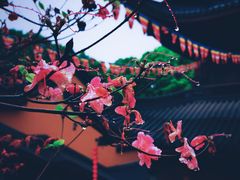 -杭州上天竺法喜讲寺