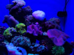 -多彩贵州城极地海洋世界