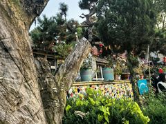 -华夏民俗村(棋盘山店)