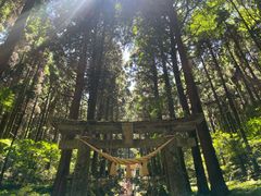 -上色见熊野座神社