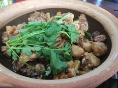 -华仔土鸡店(南洲分店)