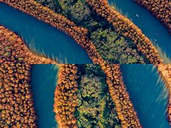 -上海海湾国家森林公园