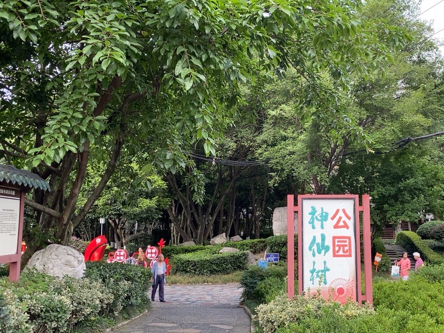 初春街心公园的树范文(初春,街心公园的树)