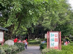 -神仙树公园
