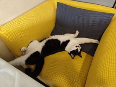 -路易时光(蕴川路店)