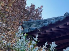 -西安青龙寺遗址景区