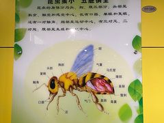 -上海昆虫博物馆