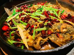 -老板恋上鱼(高新万达店)
