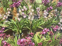 -元初食品(幸福e家小区店)