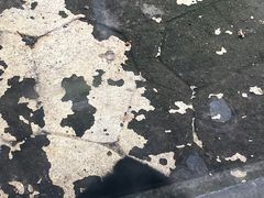 -南宁市动物园