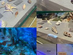 -中国（海南）南海博物馆