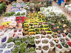 -双季花艺园艺市场(浦东店)