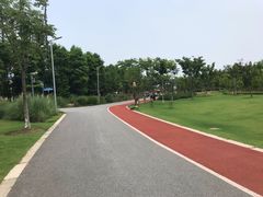 -上海长兴岛郊野公园