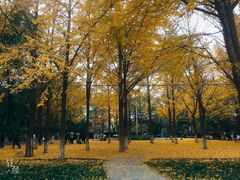 -山东大学(趵突泉校区)