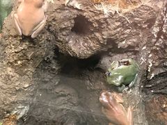 -中国湿地博物馆